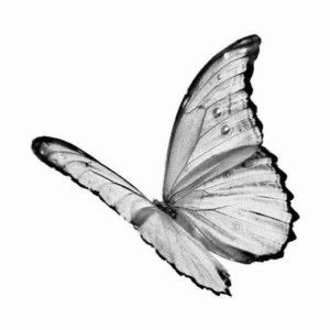 Meet your Posher, Meredith